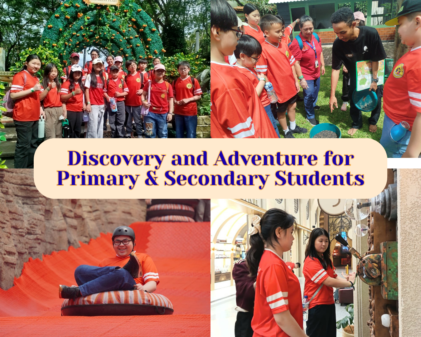 Beyond the Classroom: Discovery and Adventure for Primary & Secondary Students